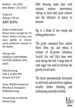 Load image into Gallery viewer, Big